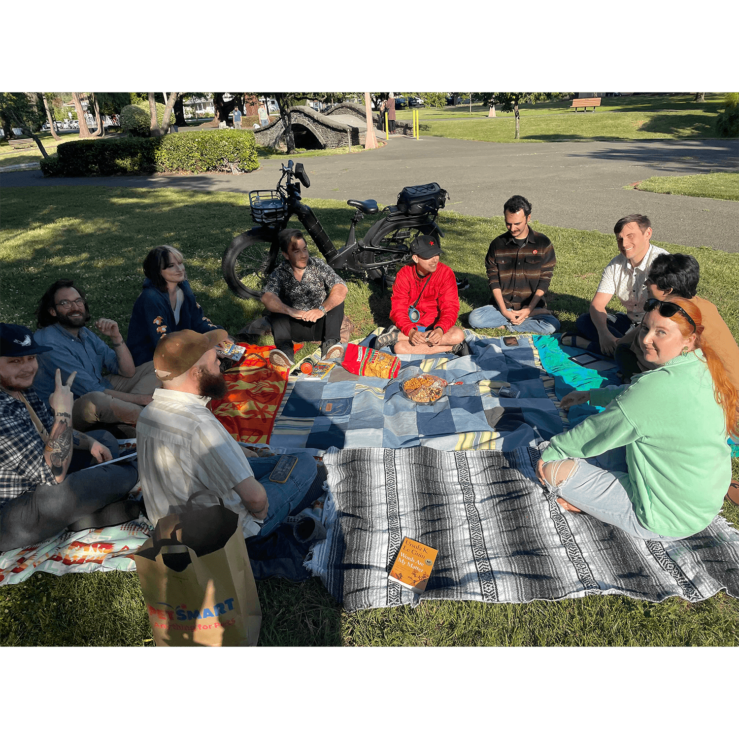 Photo of ten SoCo DSA members sitting on blankets in a circle at the park.