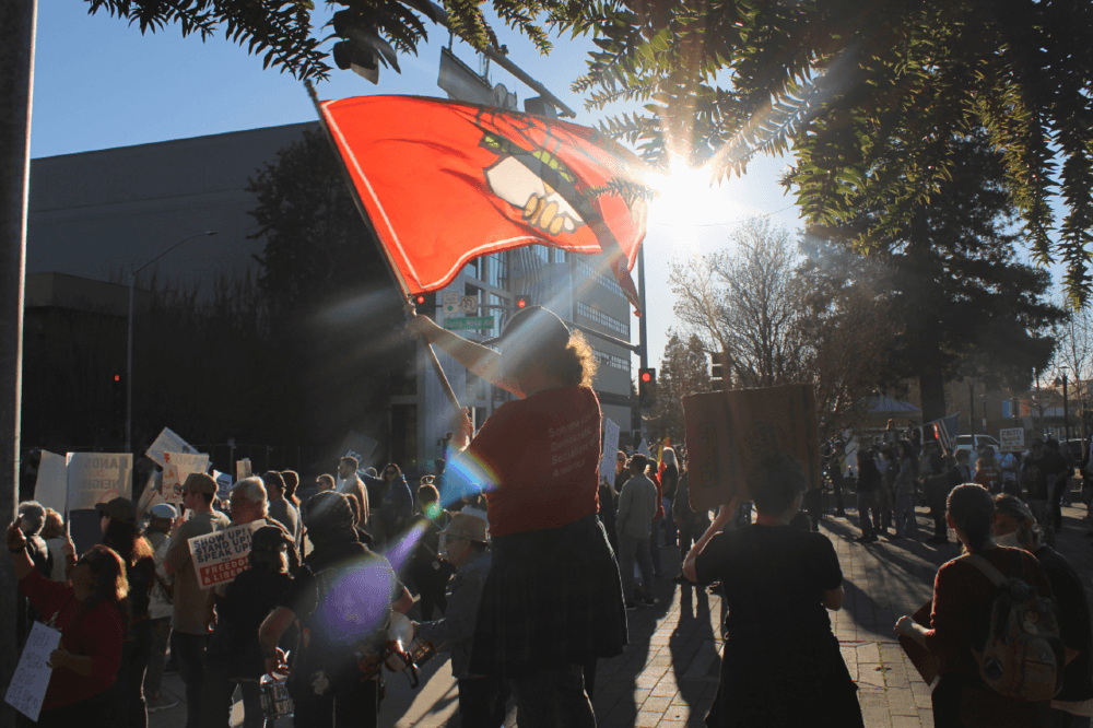 From behind, one of our members waves a red DSA handshake flag above a crowd of protesters in Santa Rosa's Old Courthouse Square, backlit by the sun with a vibrant lens flare.